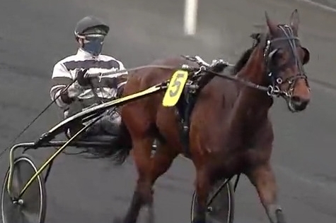 GAZETTA DE LOU (Real Lou - Noisette d'argence)...