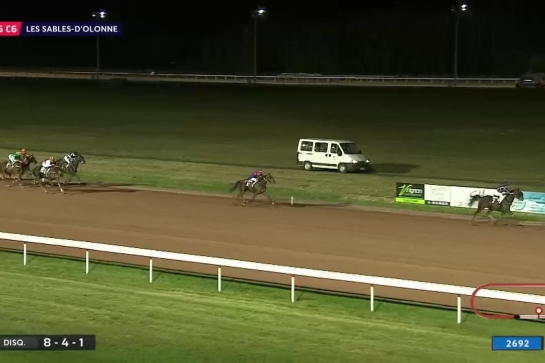 HENRIQUE DE LOU ( Real de Lou- Star de Tembia)..