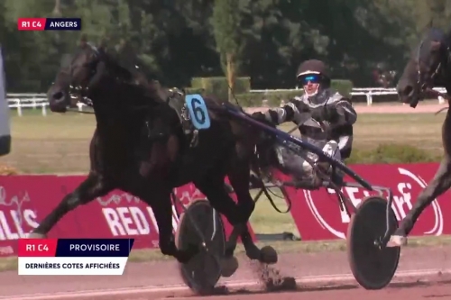 JOKO DE LOU (Real de Lou -Carla de Lou)...