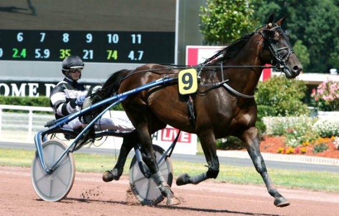 REAL DE LOU (Jag de Bellouet-Kooka de Lou)