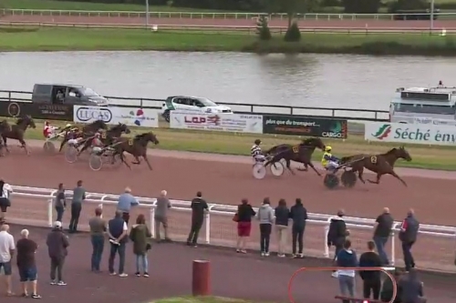 JAMAICA DE LOU (Real de Lou-Unora de Lou)...