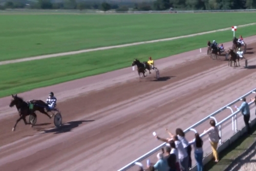 KAPITANO DE LOU ( Brillantissime-Tania de Lou)...