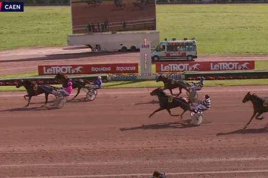 KOZIELLO DE LOU (Real de Lou-Delmonica de Lou)...