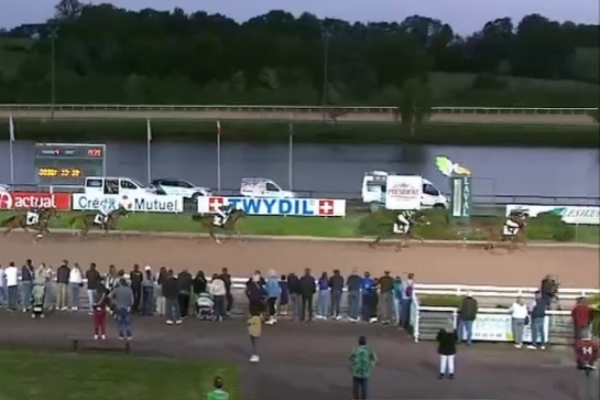 HENRIQUE DE LOU (Real de Lou-Star de Tembia)...