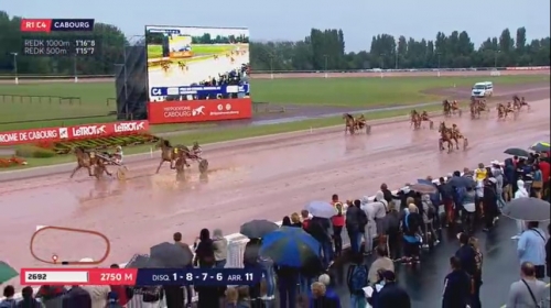 FELICITA DE LOU (Real de Lou-Quinska de Lou)