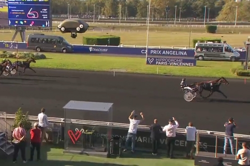 JAMAICA DE LOU (Real de Lou-Unora de Lou) ...