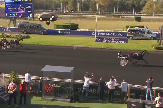 JAMAICA DE LOU (Real de Lou-Unora de Lou) ...