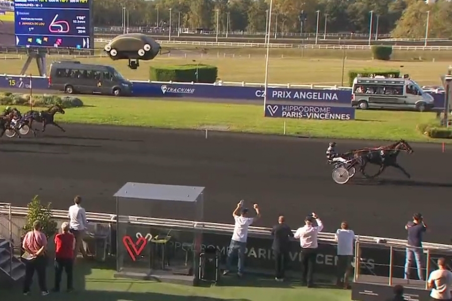 JAMAICA DE LOU (Real de Lou-Unora de Lou) ...