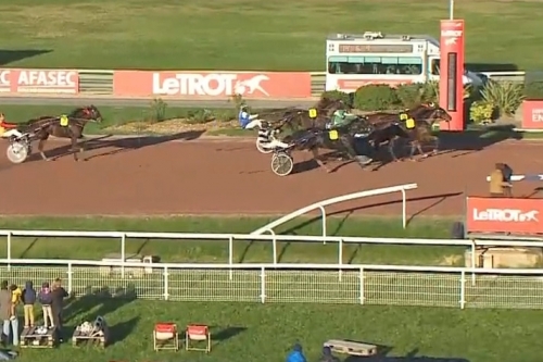 JOKO DE LOU (Real de Lou -Carla de Lou)...