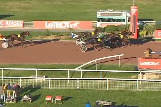 JOKO DE LOU (Real de Lou -Carla de Lou)...