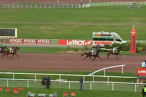 FASCINOSO (Prodigious-Riviera de Lou)...