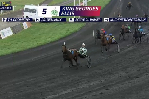 KING GEORGES ELLIS (Bold eagle-Volvoreta de lou)