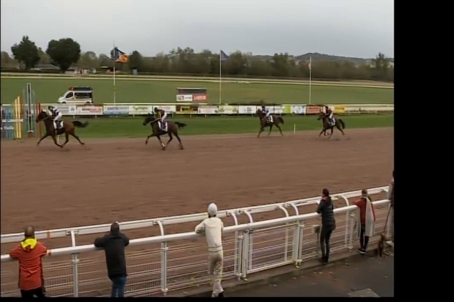 FINE DU COLOMBIER (Real de Lou - Treizieme rue)