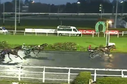 KING GEORGES ELLIS ( Bold eagle - Volvoreta de Lou)...