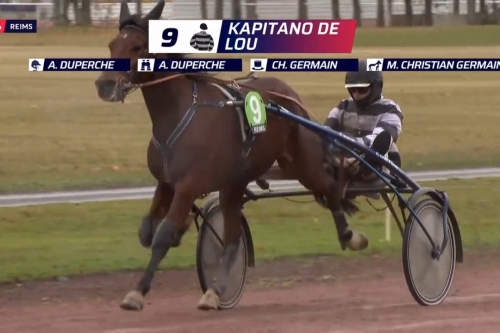 KAPITANO DE LOU ( Brillantissime-Tania de Lou)...