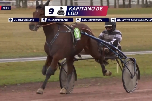 KAPITANO DE LOU ( Brillantissime-Tania de Lou)...