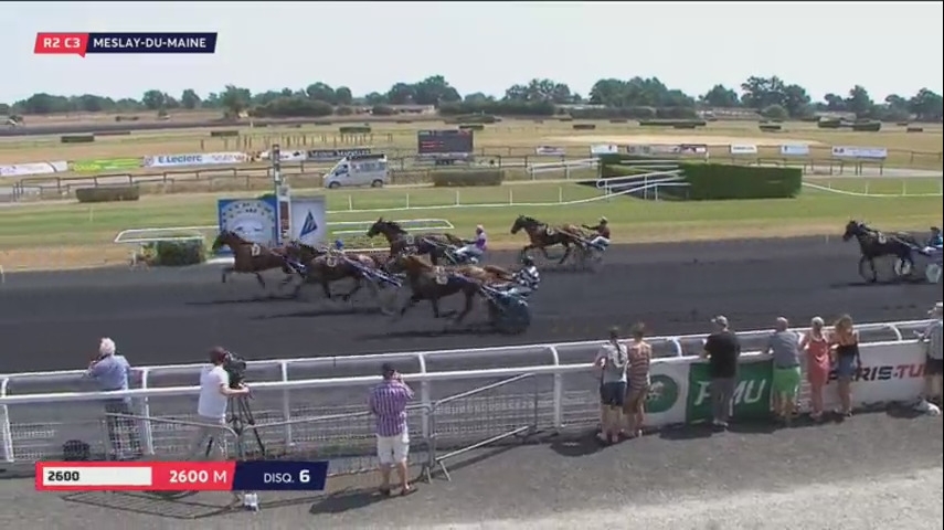 FLAMENGO DE LOU (Ganymede-Tania de Lou)