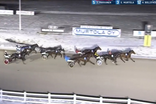 KYOTO DE LOU (Ouragan de Celland-Esmeralda de lou par Real de Lou)...