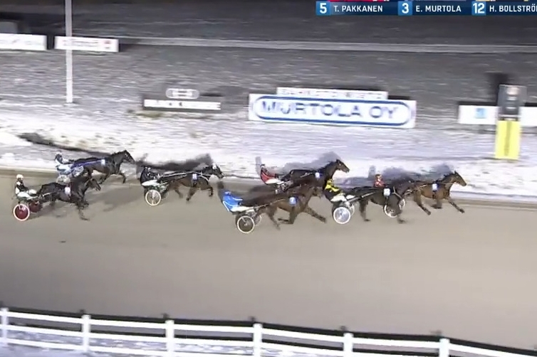 KYOTO DE LOU (Ouragan de Celland-Esmeralda de lou par Real de Lou)...