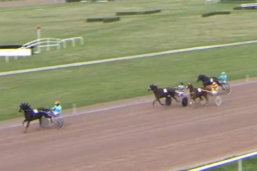 KATIA DE LOU (Love you- Pareastern de Lou).