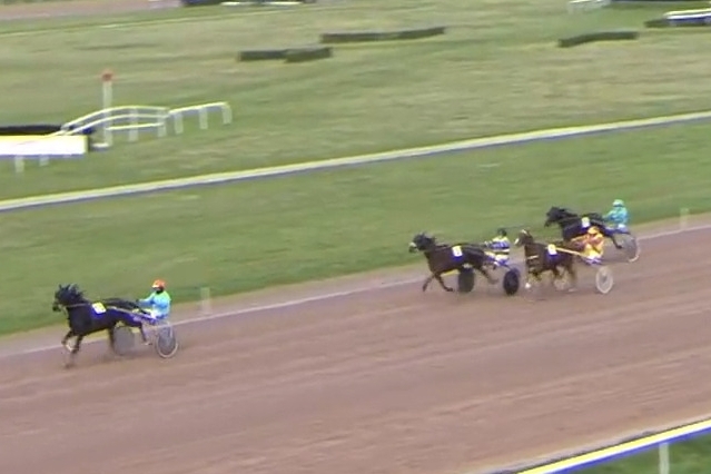 KATIA DE LOU (Love you- Pareastern de Lou).