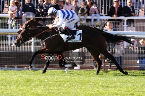 LOU FAST (Rajsaman-Lou wonderful) ...