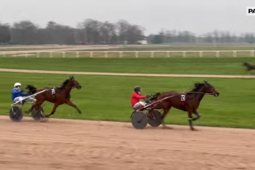 LARABELLO DE LOU (Express jet-Arabella de Lou).