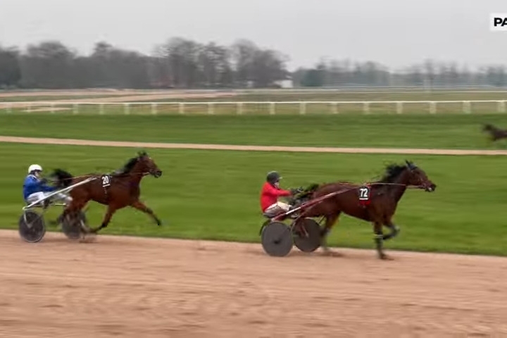 LARABELLO DE LOU (Express jet-Arabella de Lou).