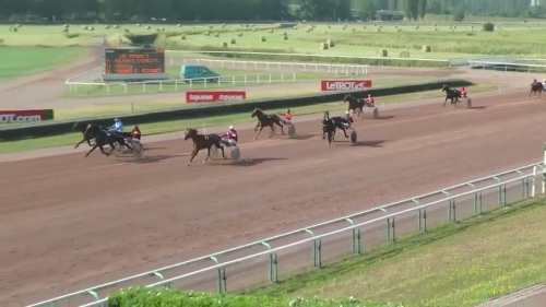 HIGH ROCK DE LOU (Bold eagle-Aosta de Lou)