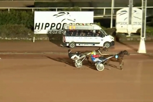 HOLLENBOURG ( Brillantissime-Telma des jacquets).ISEO DE...