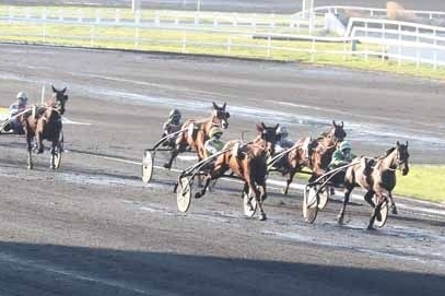 KAPITANO DE LOU (Brillantissime-Tania de Lou)...