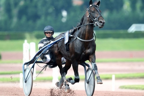 REAL DE LOU (Jag de bellouet-Kooka de lou)...