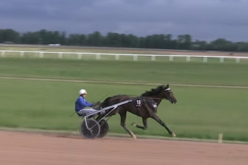 LANCIA DE LOU (Express jet- Dalmia de Lou)