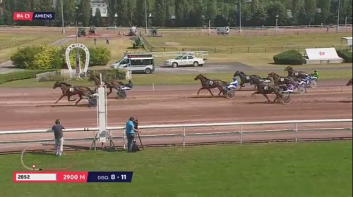 CLASSICO DE LOU (Niky-Harmony de Lou)