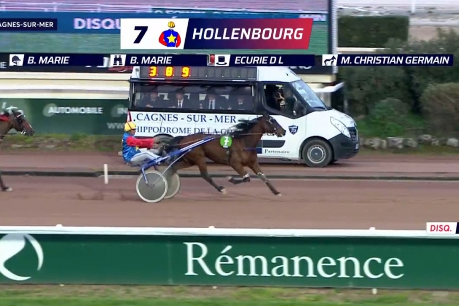 HOLLEMBOURG (Brillantissime- Telma des jacquets)...