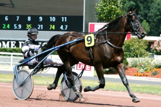 REAL DE LOU (Jag de Bellouet-Kooka de Lou par Coktail jet)...