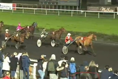 HIGUAIN DE LOU (Love You-Saba du vivier)