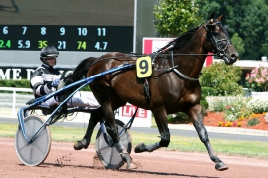 ..REAL DE LOU ( Jag de bellouet-Kooka de Lou)