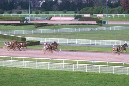 JUNON DE LOU (Real de Lou Saba du vivier)...