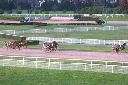 JUNON DE LOU (Real de Lou Saba du vivier)...