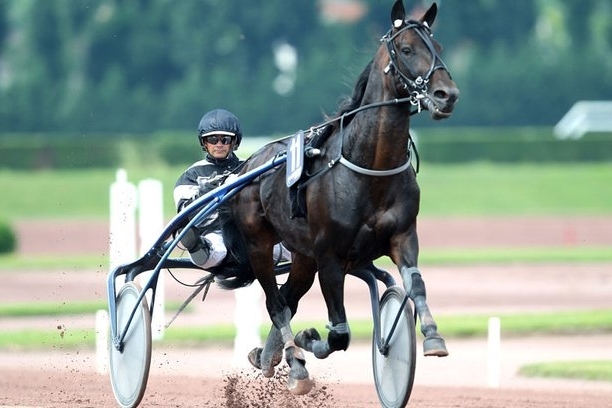 REAL DE LOU (Jag de Bellouet-Kooka de Lou par Coktail jet)