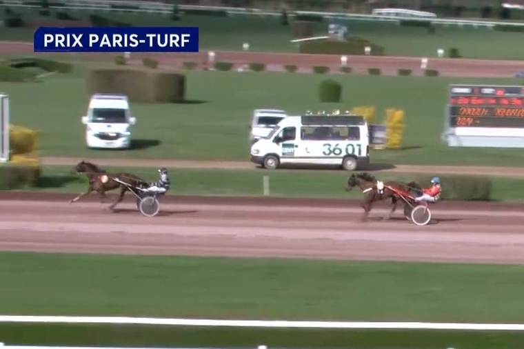 LA VIVA DE LOU ( Bold eagle-Dorada de lou)