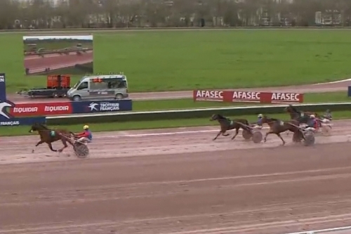 KOZIELLO DE LOU ( Real de Lou- Delmonica de Lou)