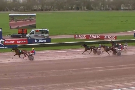 KOZIELLO DE LOU ( Real de Lou- Delmonica de Lou)