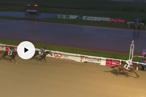 LOU MARINA (Kapgarde-Lou Emerald par Tugeon)...