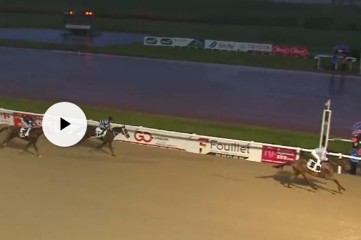 LOU MARINA (Kapgarde-Lou Emerald par Tugeon)...