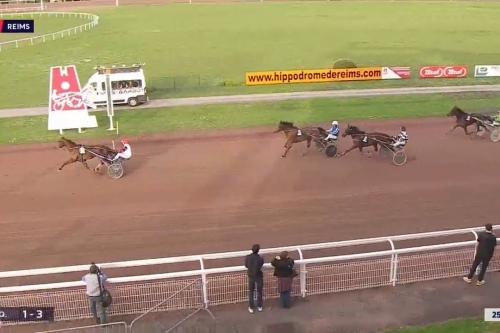 LA VIVA DE LOU ( Bold eagle-Dorada de Lou)..