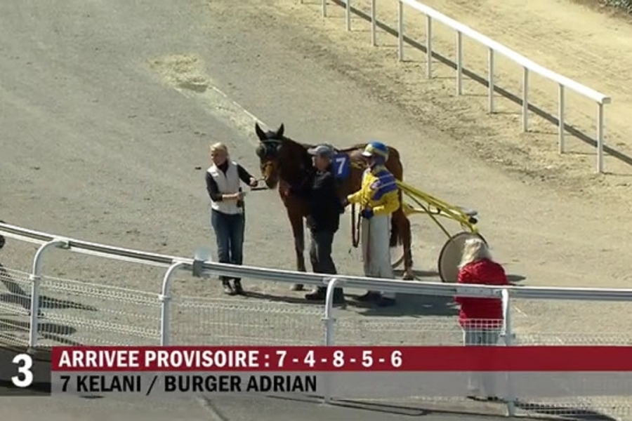 KELANI, ICE COKTAIL,KINGSTON