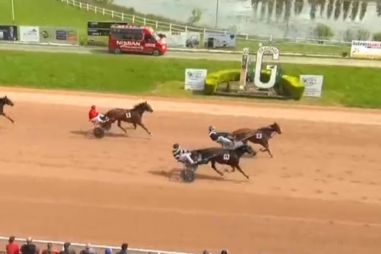 JOKO DE LOU (Real de lou-Carla de lou)...