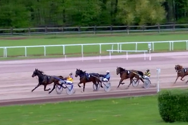 HENRIQUE DE LOU (Real de Lou-Star de tembia)...